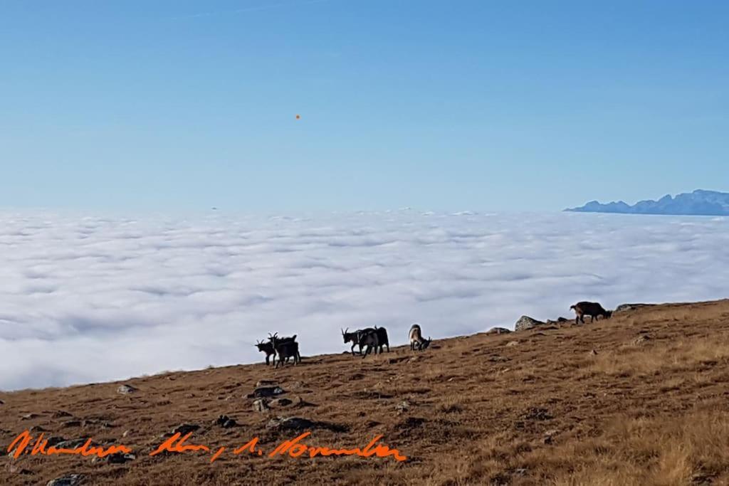 Dolomiten View - South Tyrol Villandro Bagian luar foto